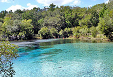 View a larger picture and read more. View a larger picture and read more.